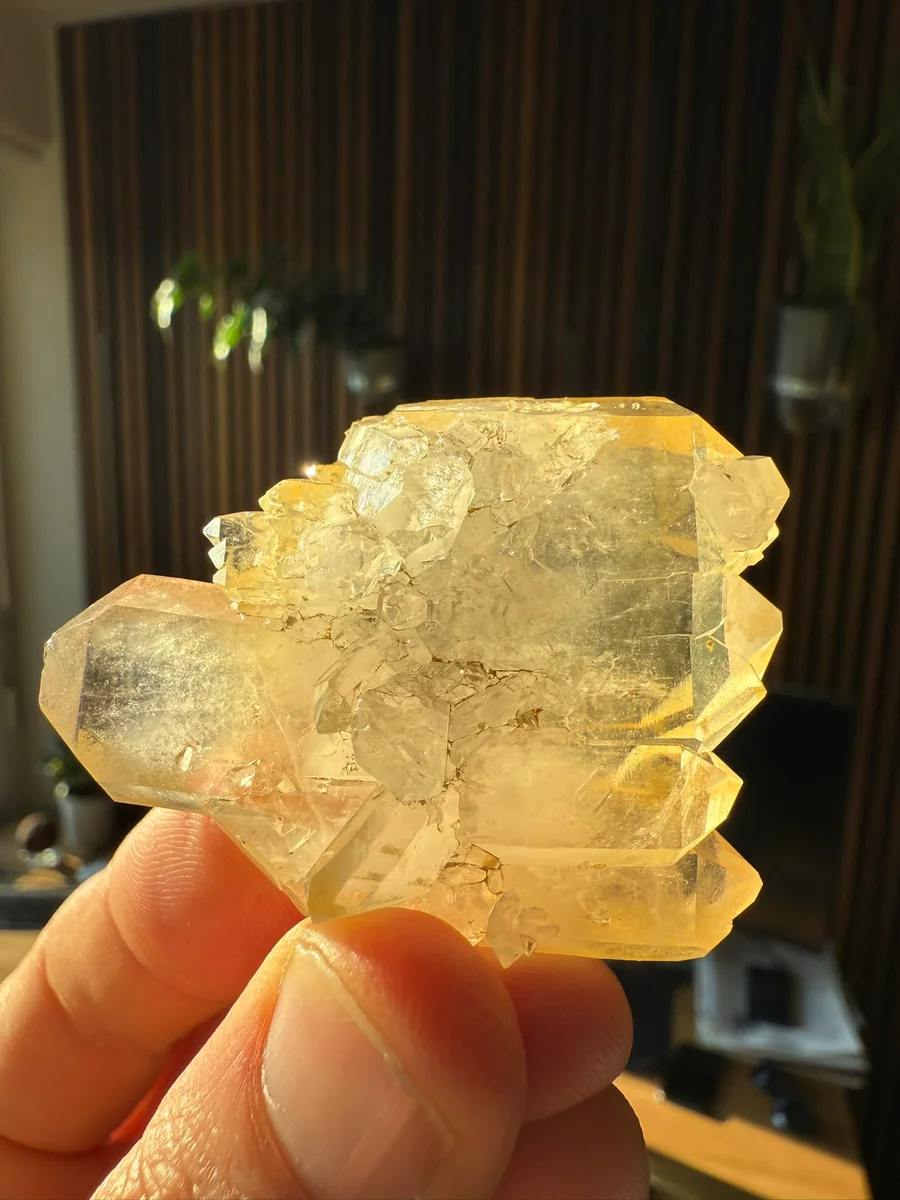 Limonit-Fadenquarze - Bild 2