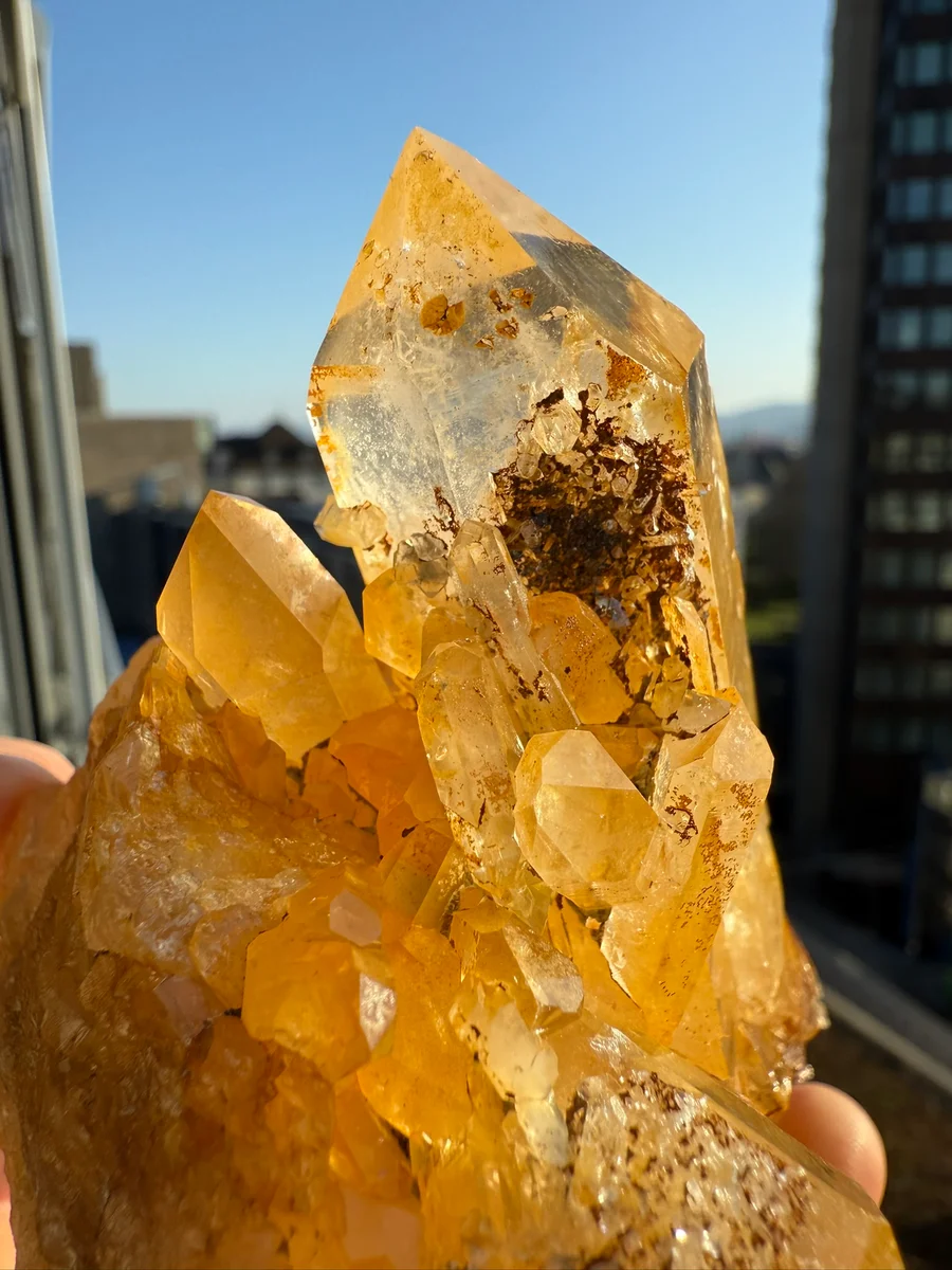 Limonitgruppe - Bild 5