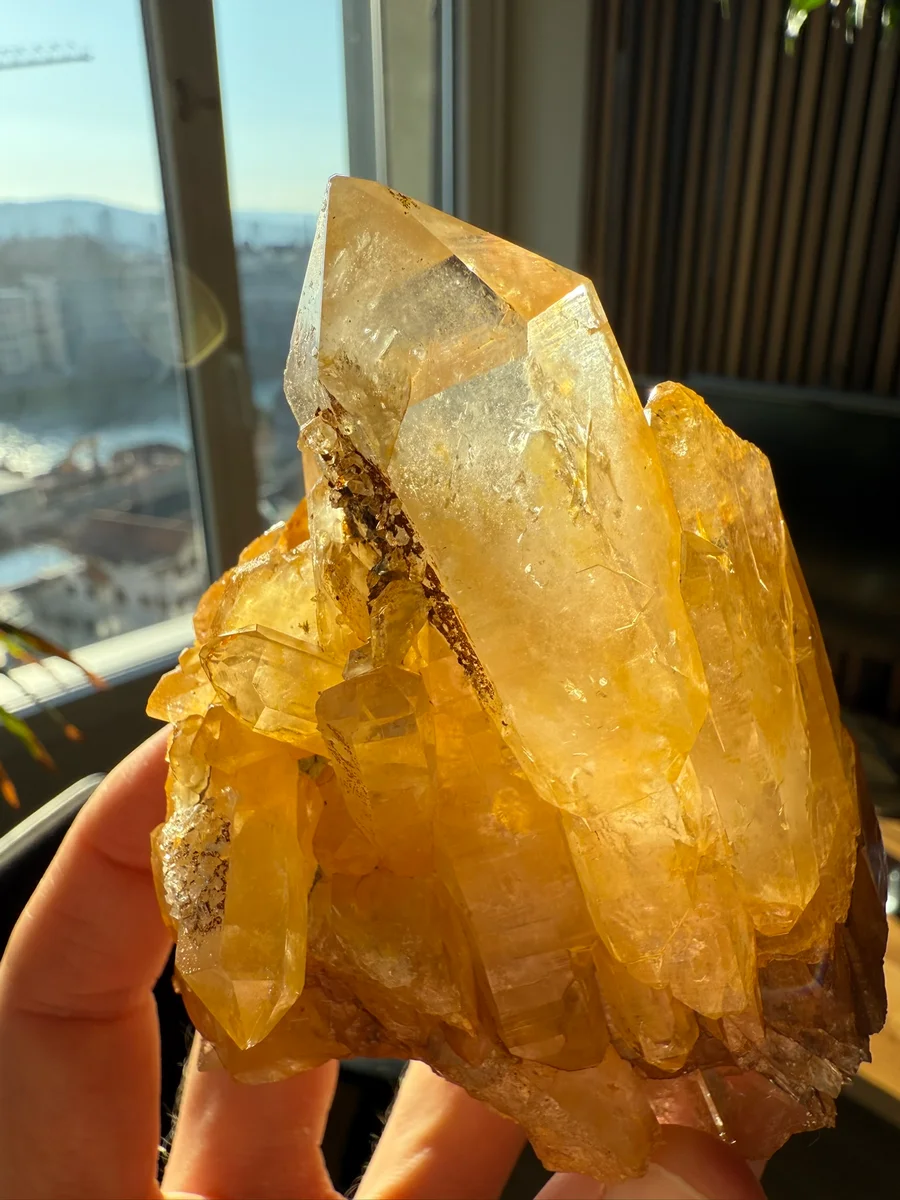 Limonitgruppe - Bild 4