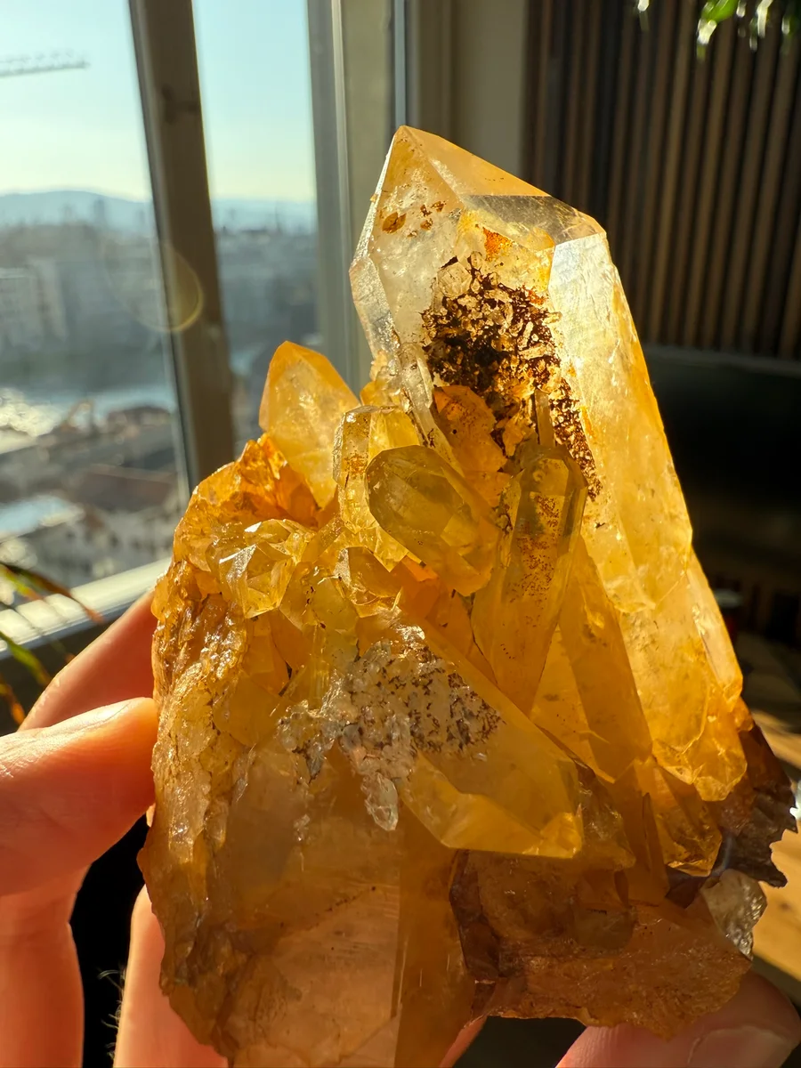 Limonitgruppe - Bild 3