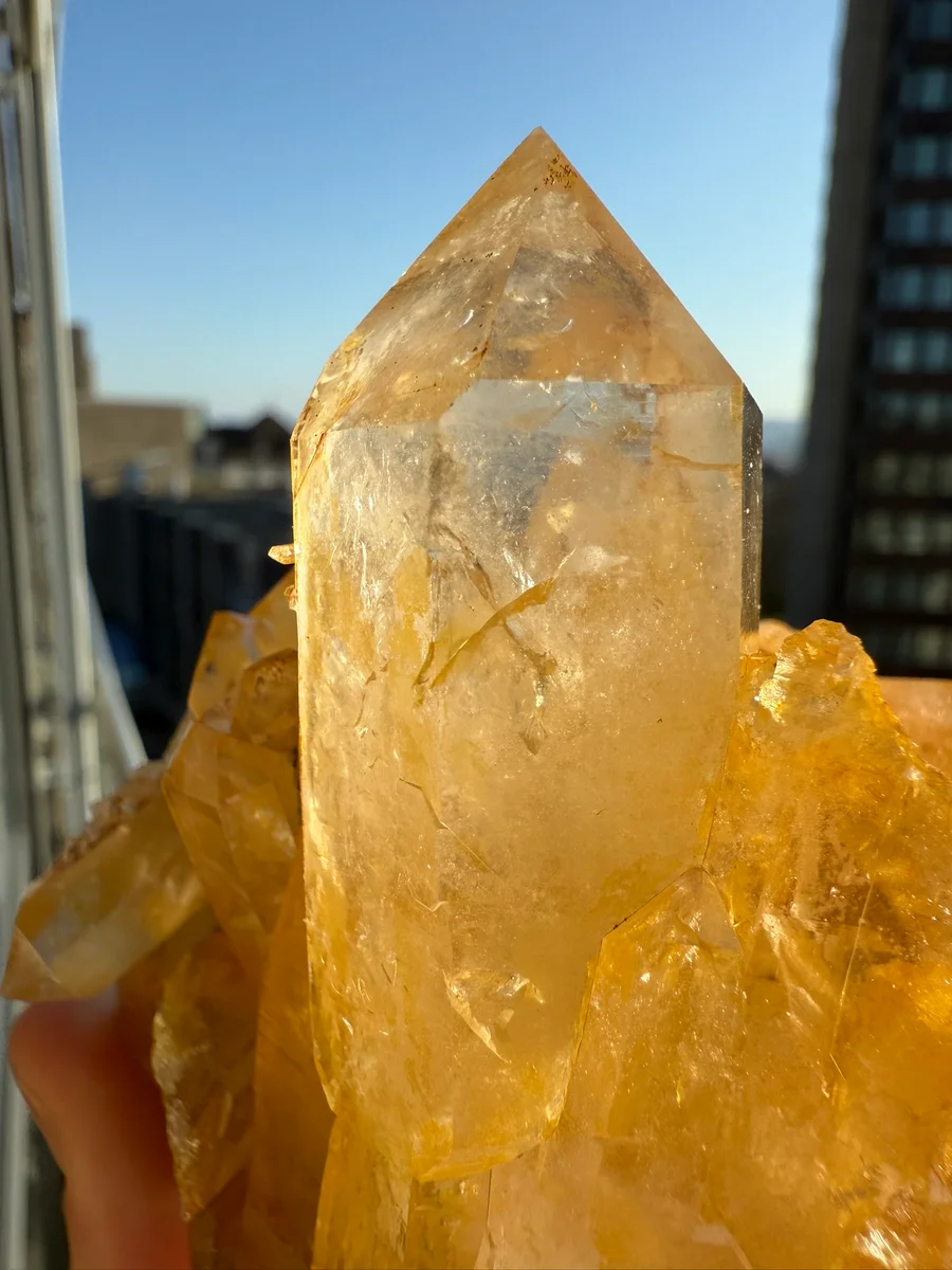 Limonitgruppe - Bild 6