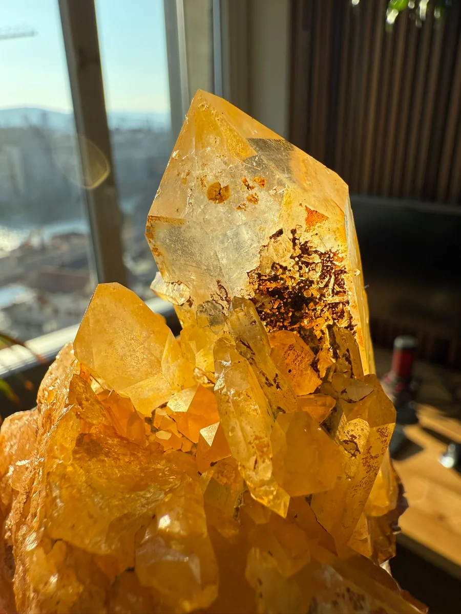 Limonitgruppe - Bild 2