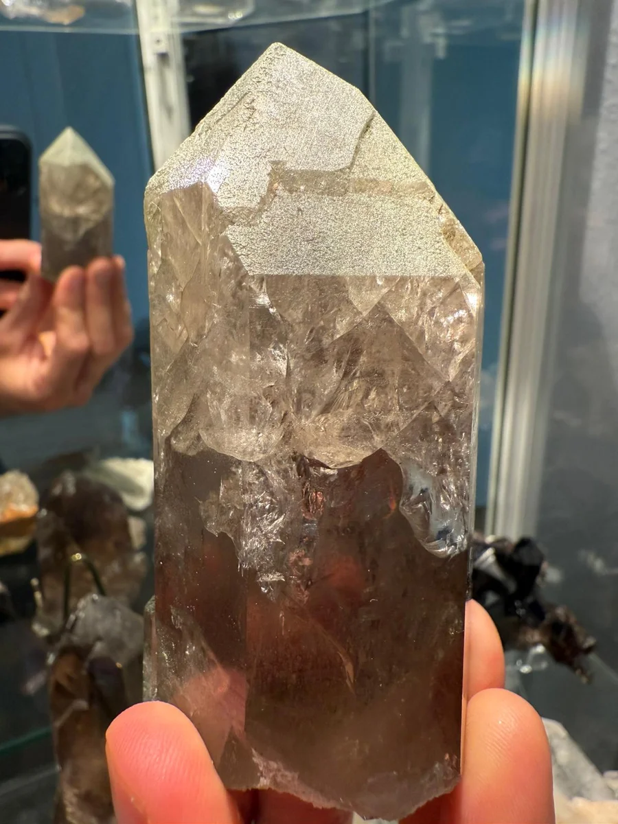 2 smoky quartz points with chlorite