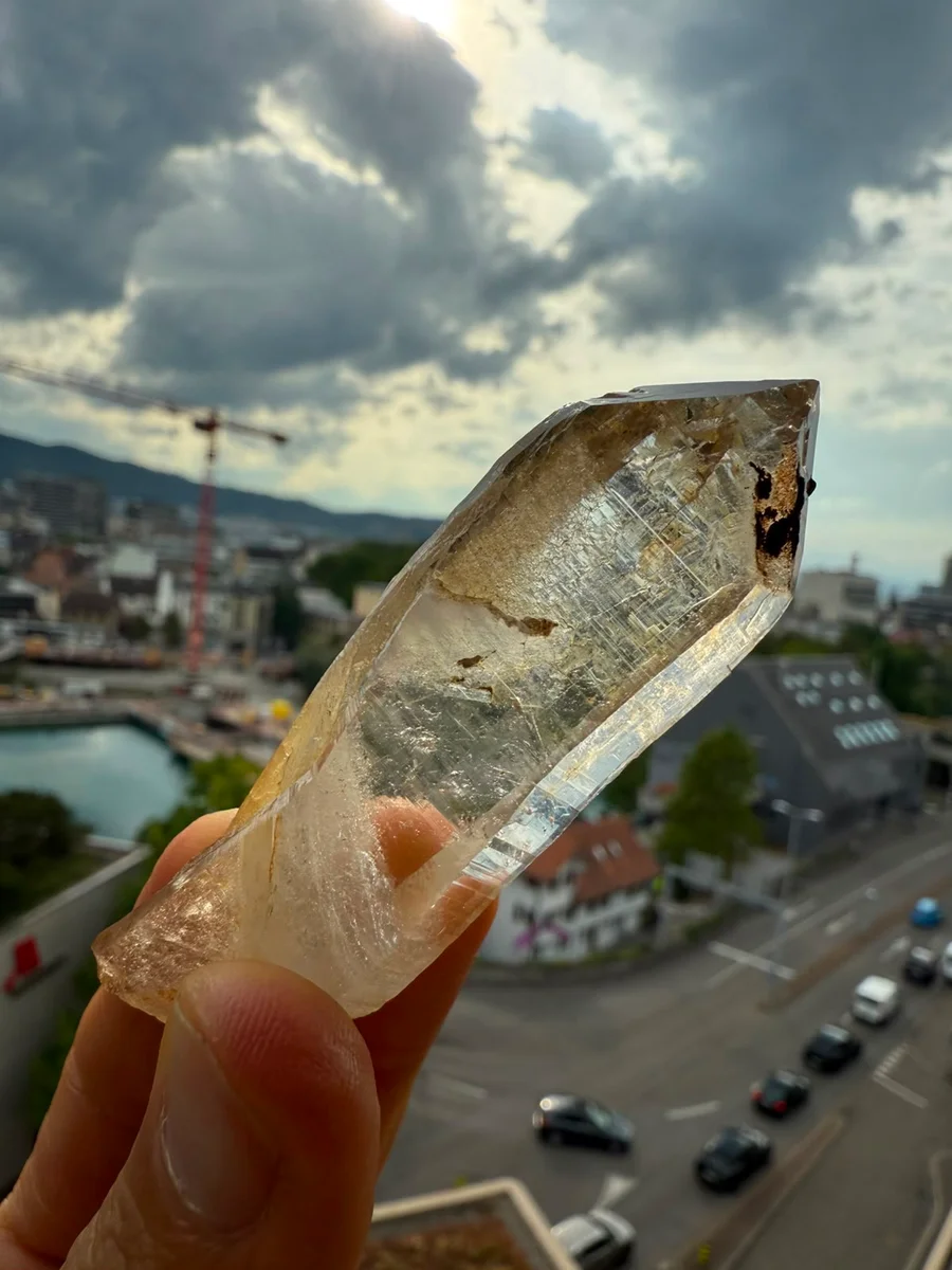 Kombination aus Spitz und Grüppli - Image 11