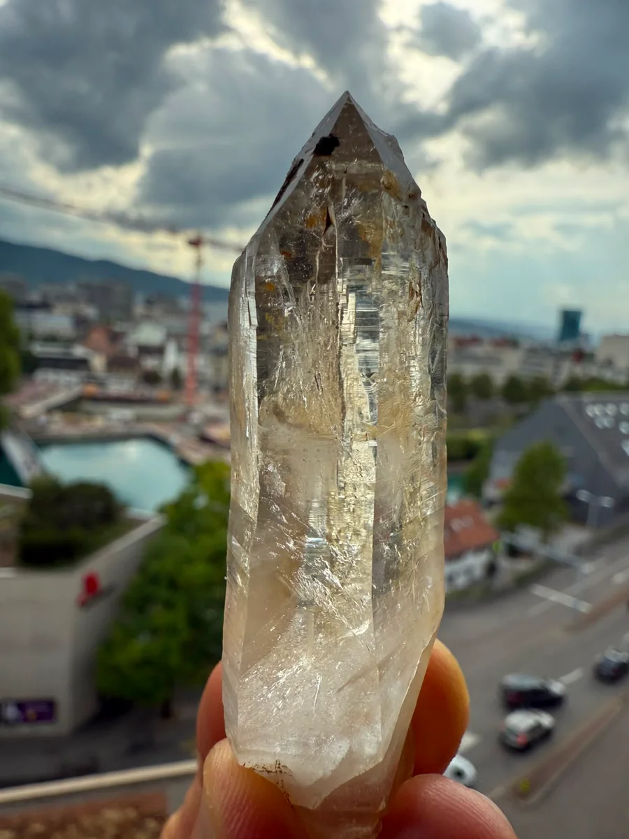 Kombination aus Spitz und Grüppli - Image 2