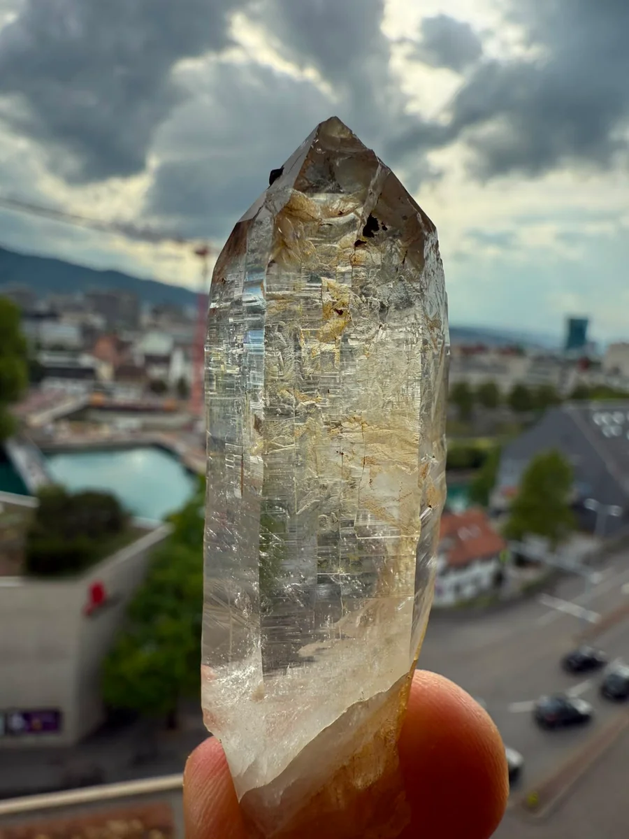Kombination aus Spitz und Grüppli