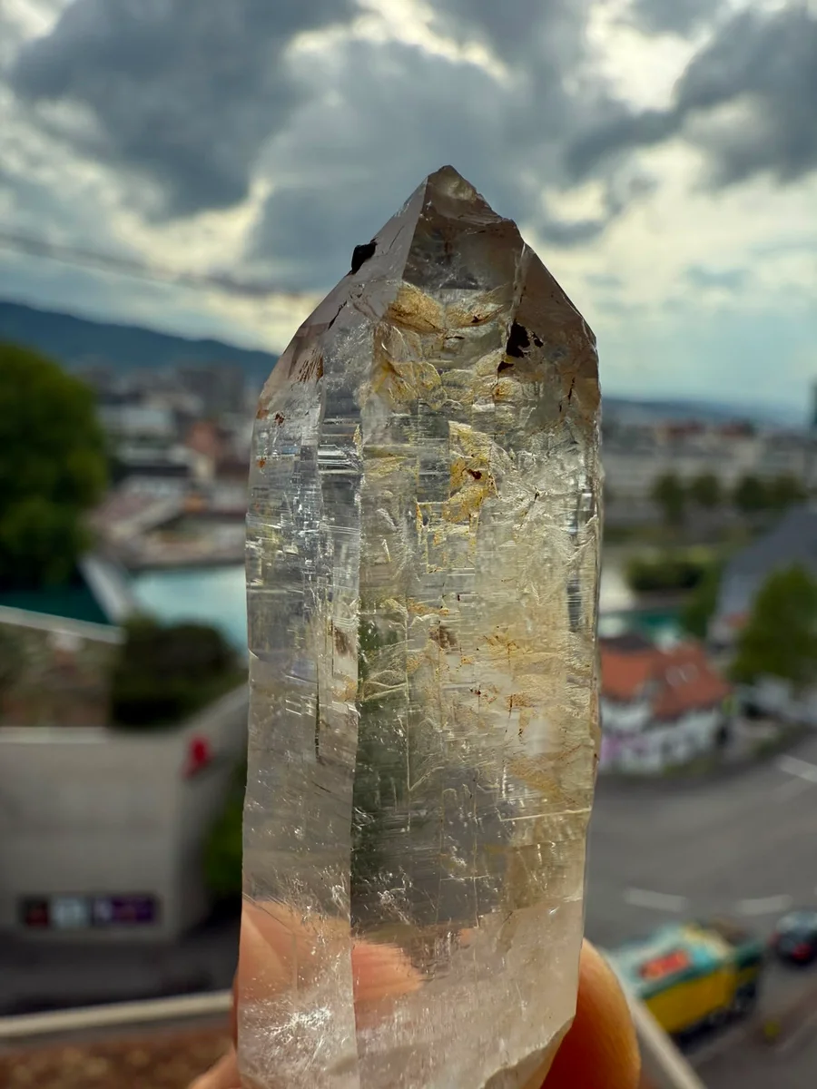 Kombination aus Spitz und Grüppli - Image 4