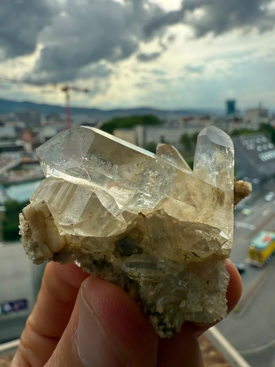 Kombination aus Spitz und Grüppli - Image 6